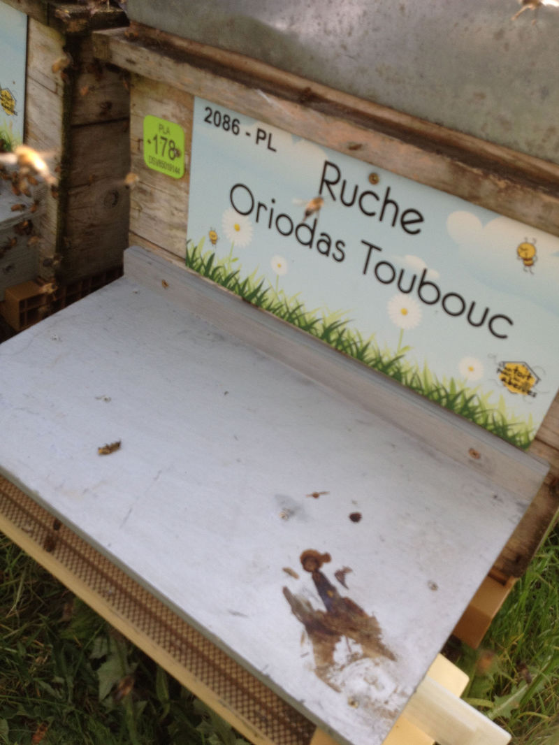 La ruche